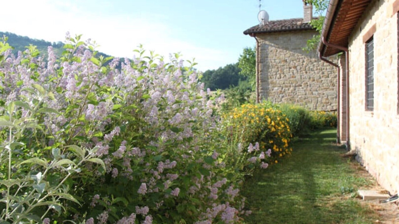 Photo of Outdoor in Camerino
