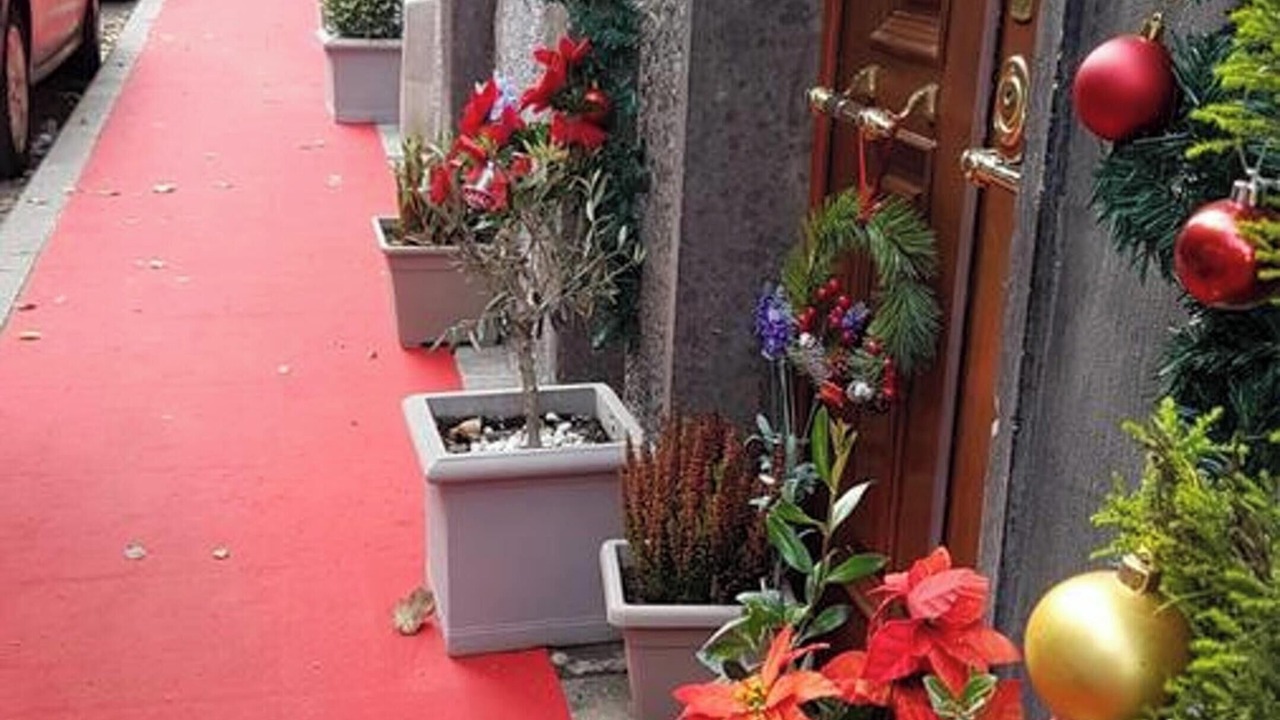 Photo of Others in Vignanello