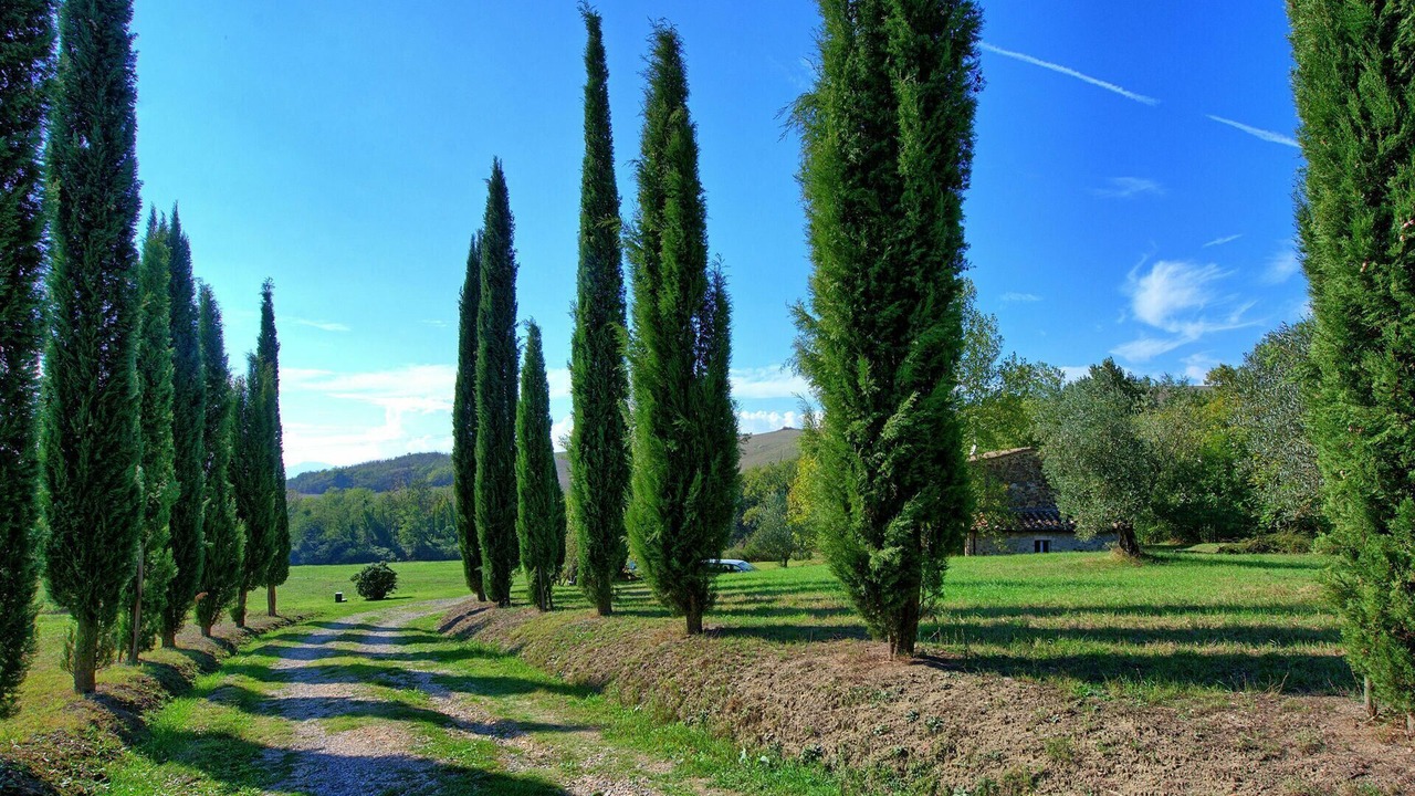 Photo of Outdoor in San Casciano dei Bagni