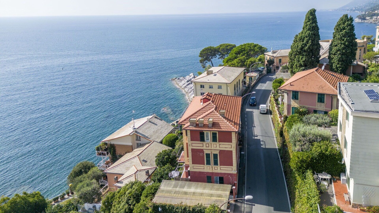 Photo of Others in Recco