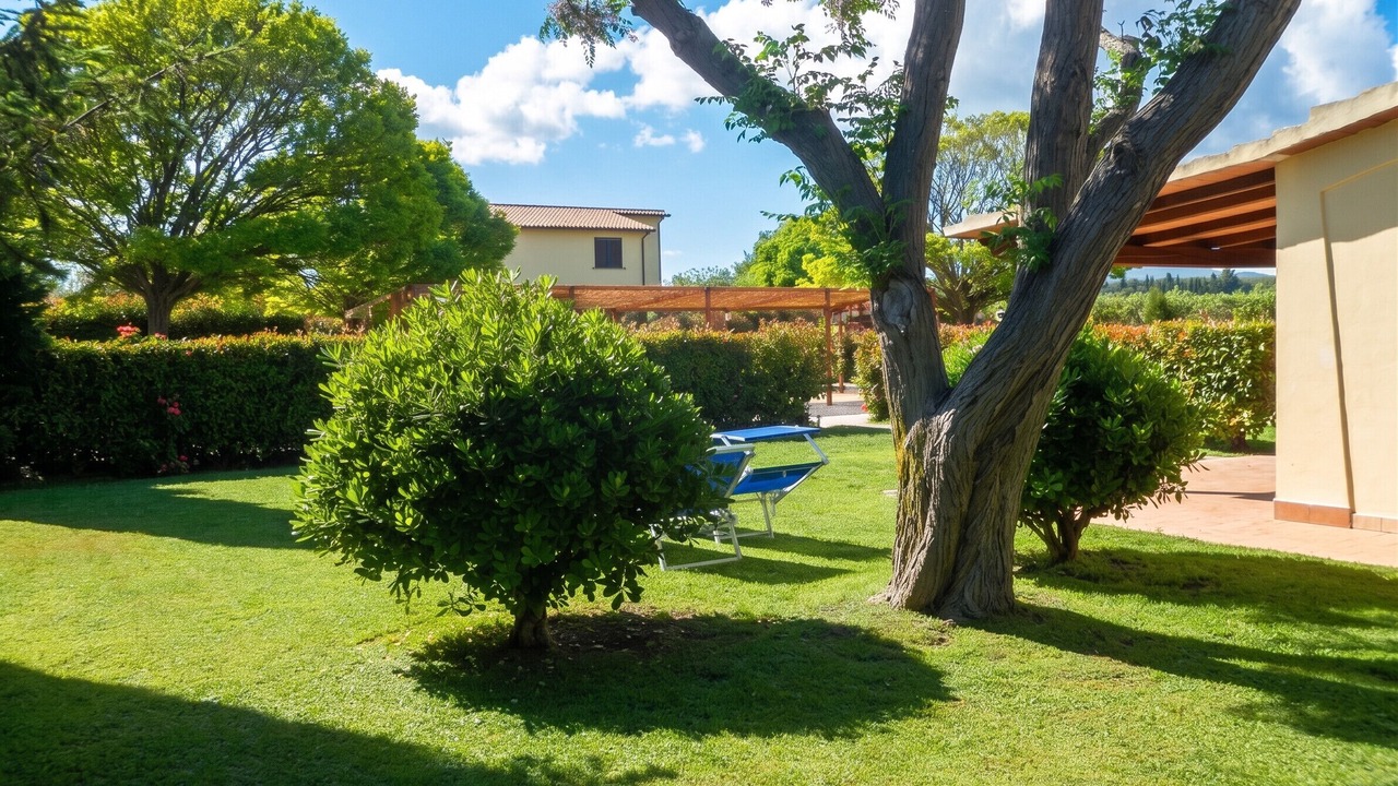 Photo of Outdoor in Pescia Romana