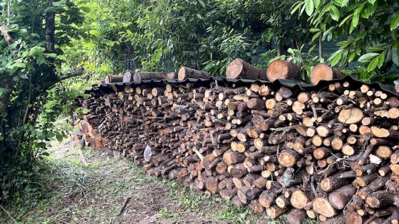 Photo of Outdoor in Ronciglione