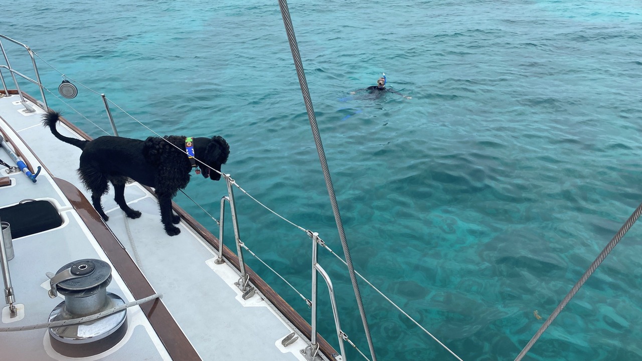 Photo of Others in Key West