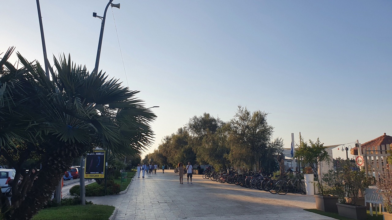 Photo of Outdoor in Pineta