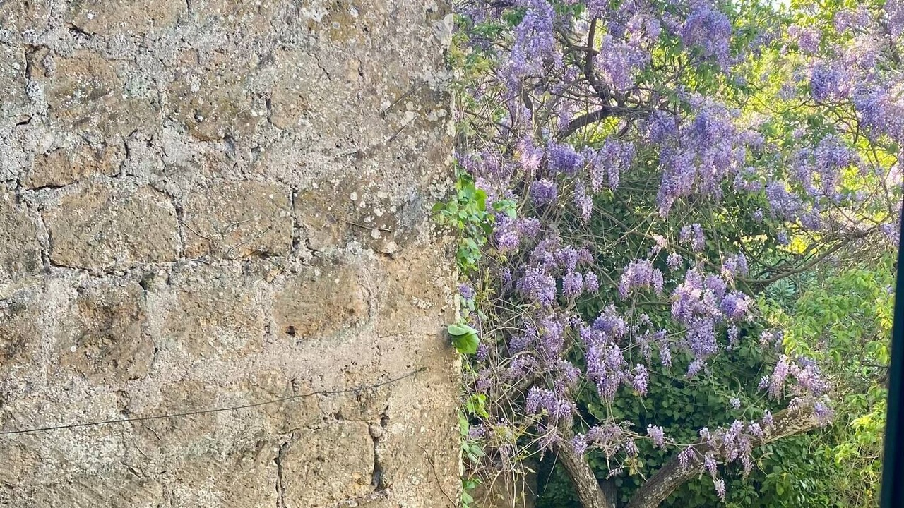 Photo of Outdoor in Lubriano