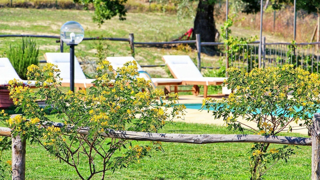 Photo of Outdoor in Bagnoregio