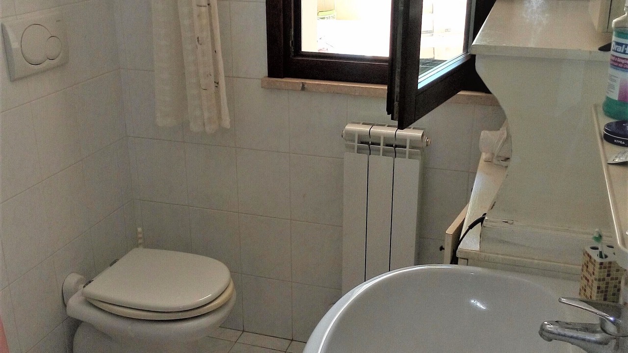 Photo of Bathroom in Alberese