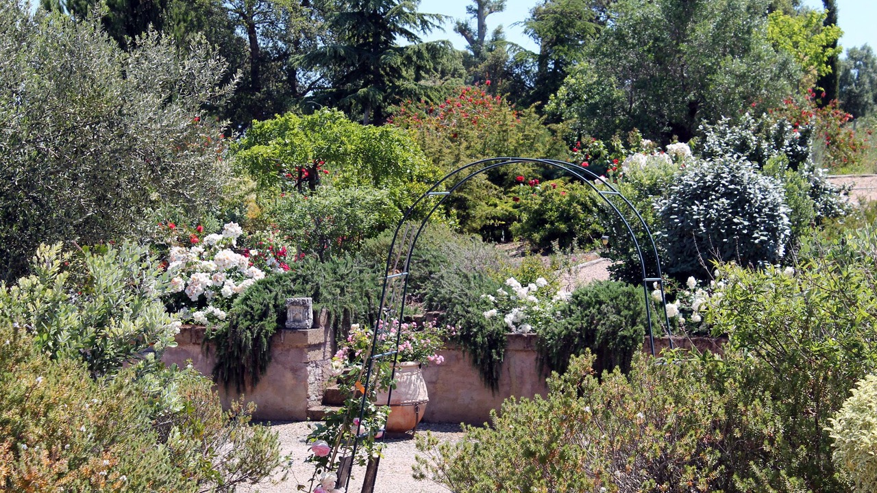 Photo of Outdoor in Montalto di Castro