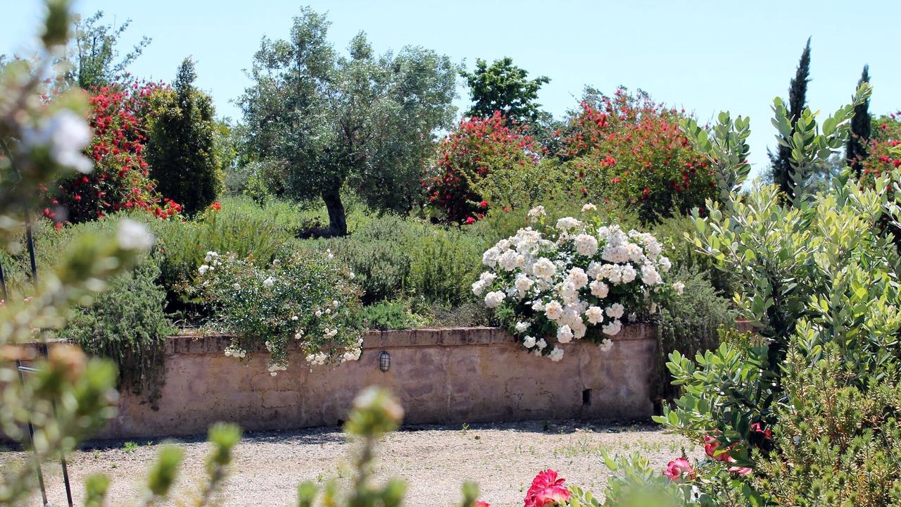 Photo of Outdoor in Montalto di Castro