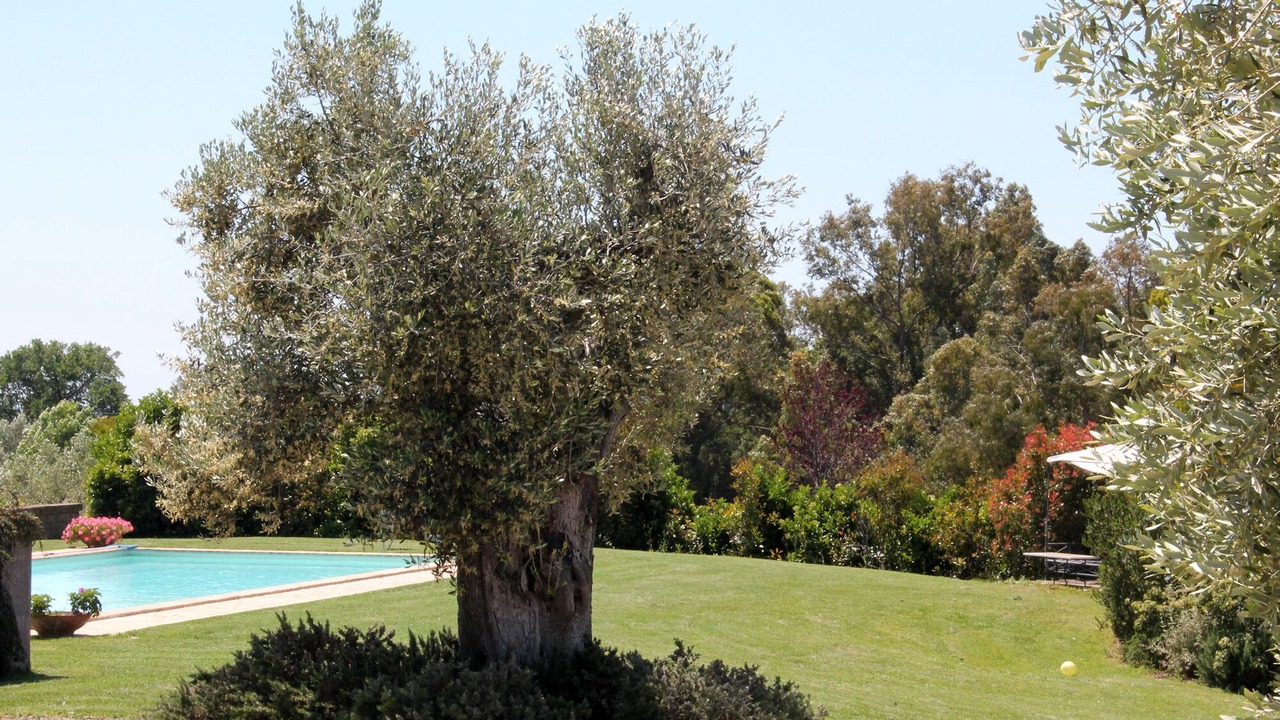 Photo of Outdoor in Montalto di Castro