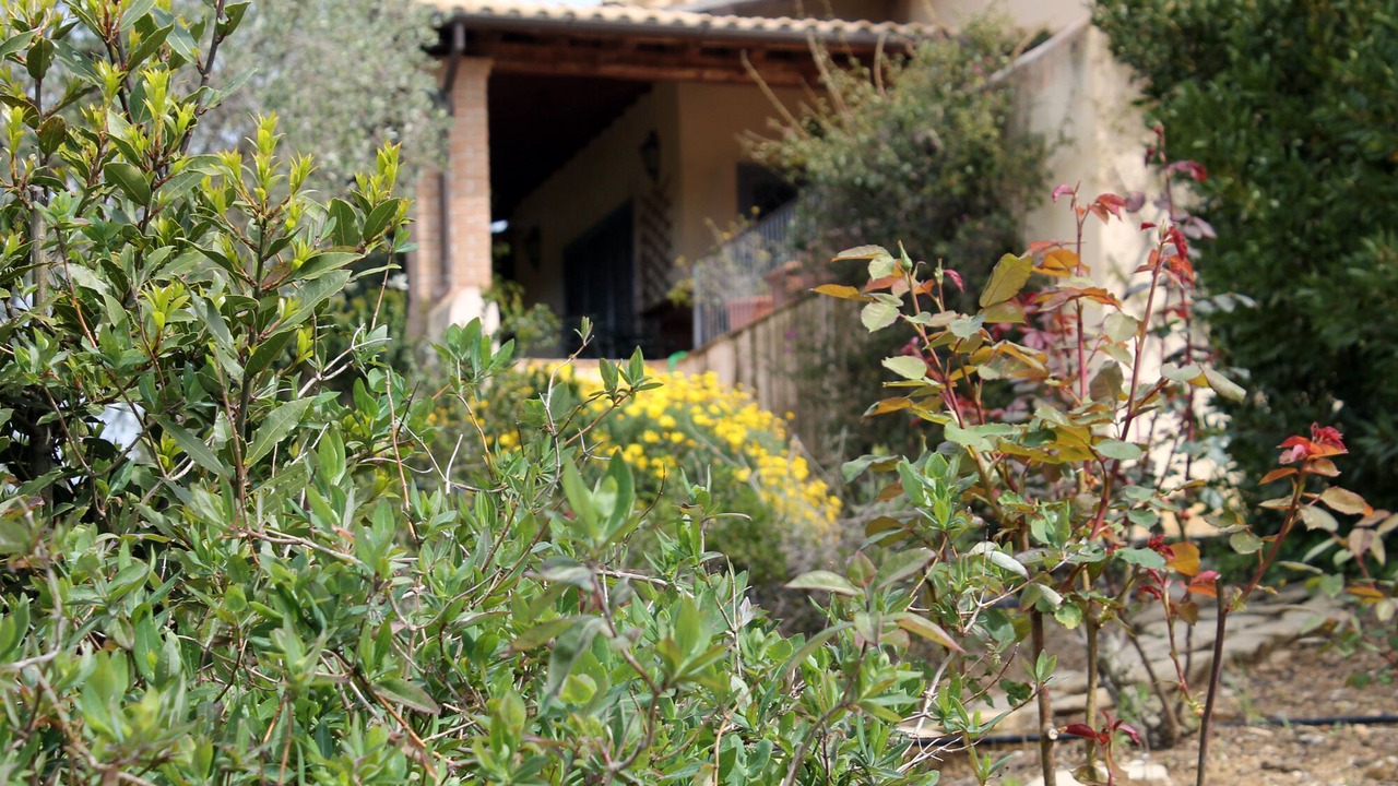 Photo of Outdoor in Montalto di Castro