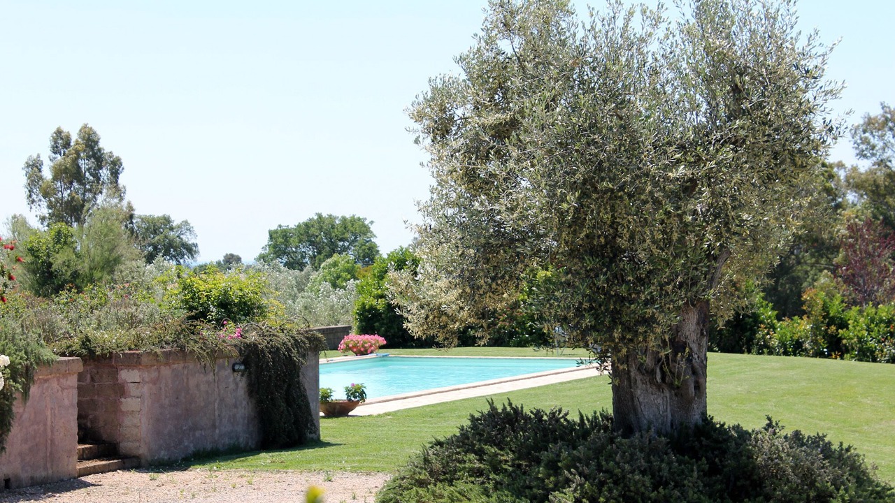 Photo of Outdoor in Montalto di Castro