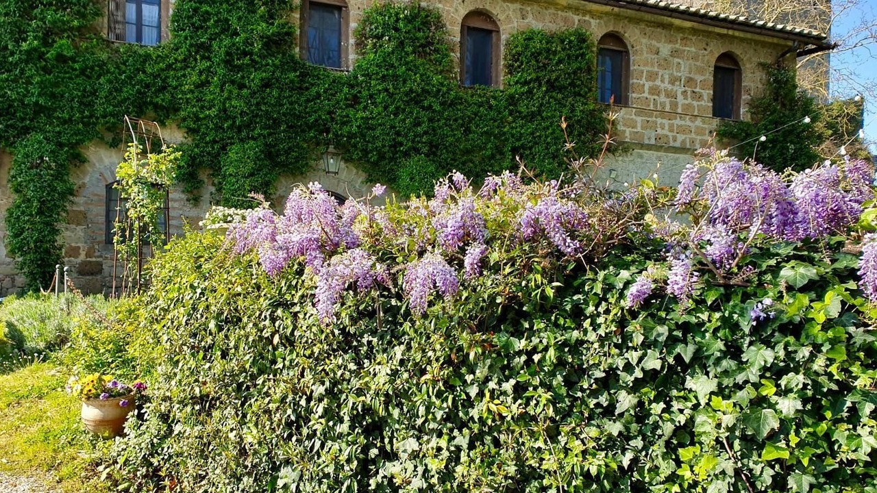 Photo of Outdoor in Bomarzo