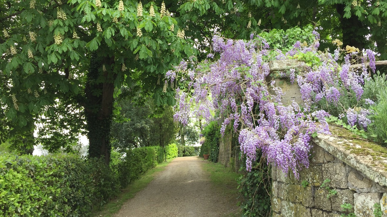 Photo of Outdoor in Bomarzo