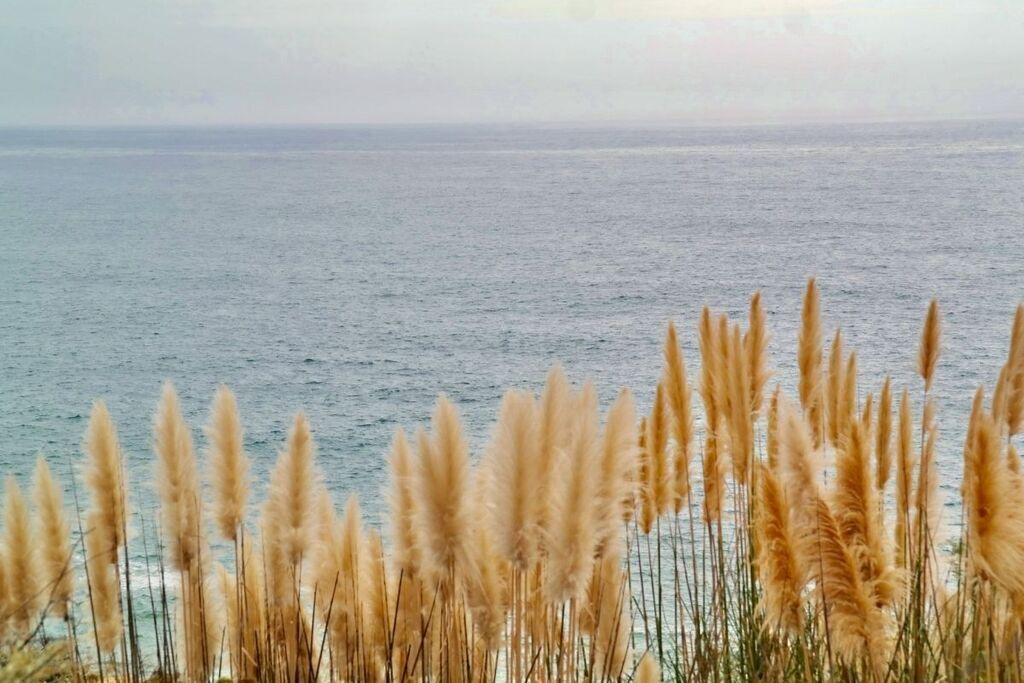 Photo of Others in Vale de Centianes