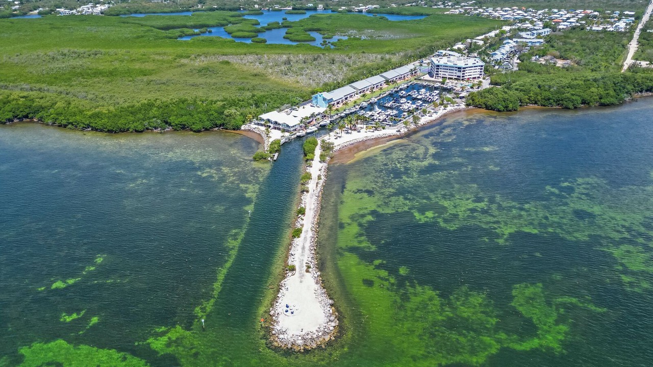 Photo of Outdoor in Rock Harbor