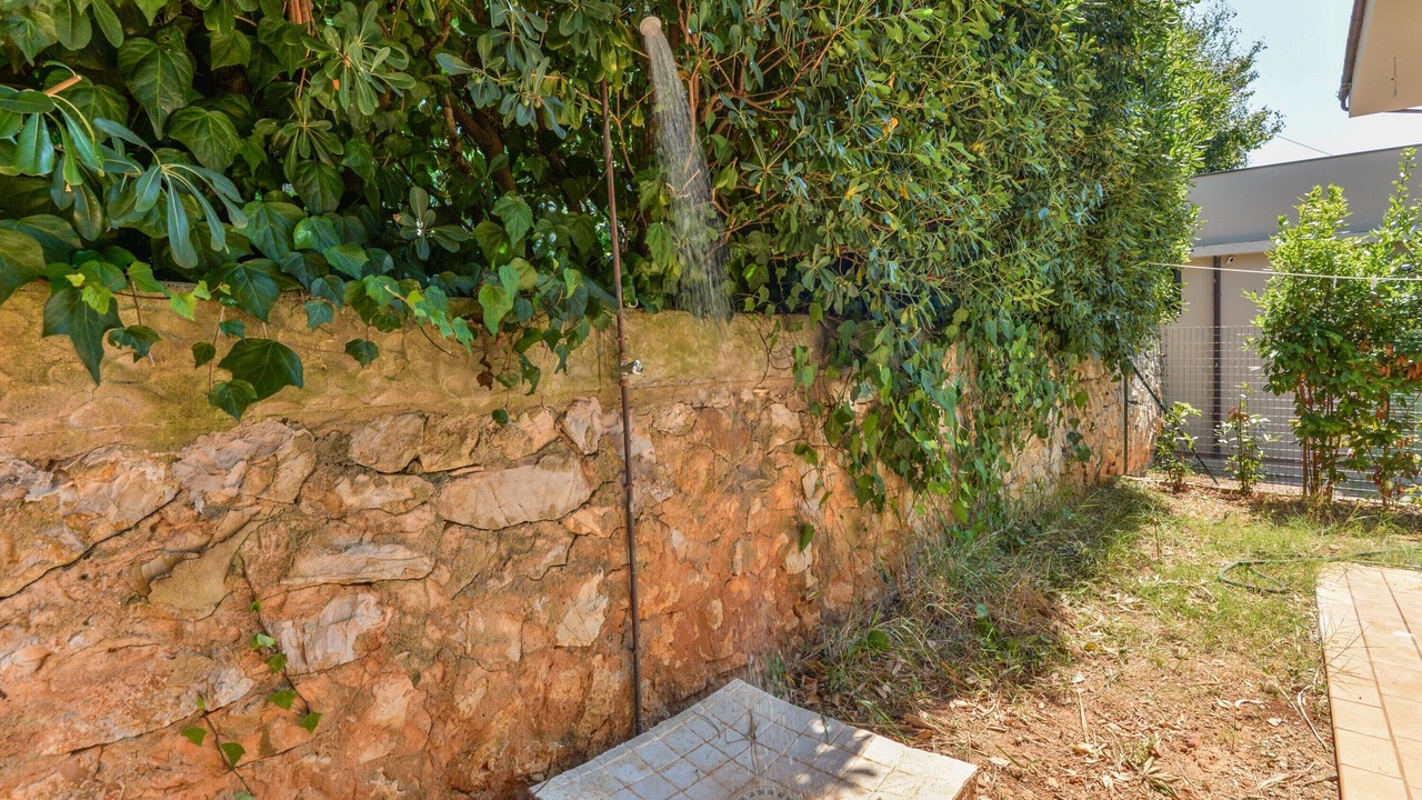 Photo of Outdoor in Bagnaia