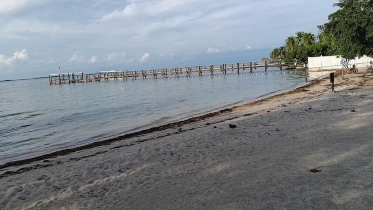 Photo of Others in Key Largo