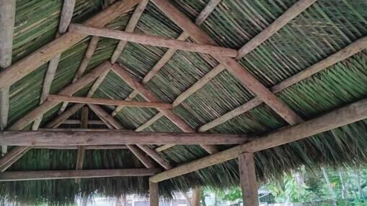 Photo of Outdoor in Key Largo
