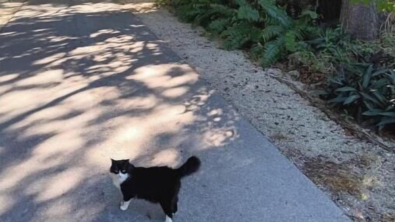 Photo of Others in Key Largo