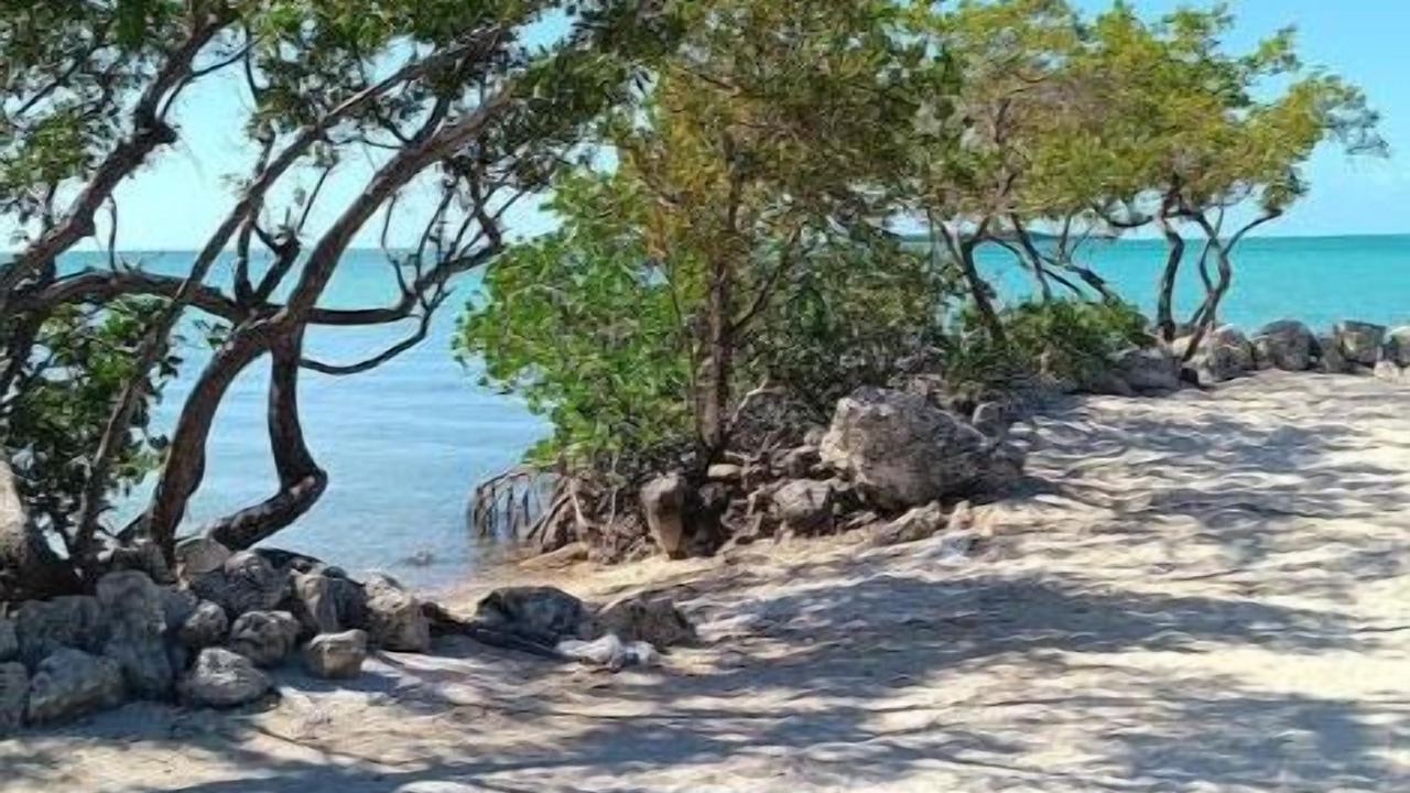 Photo of Others in Key Largo