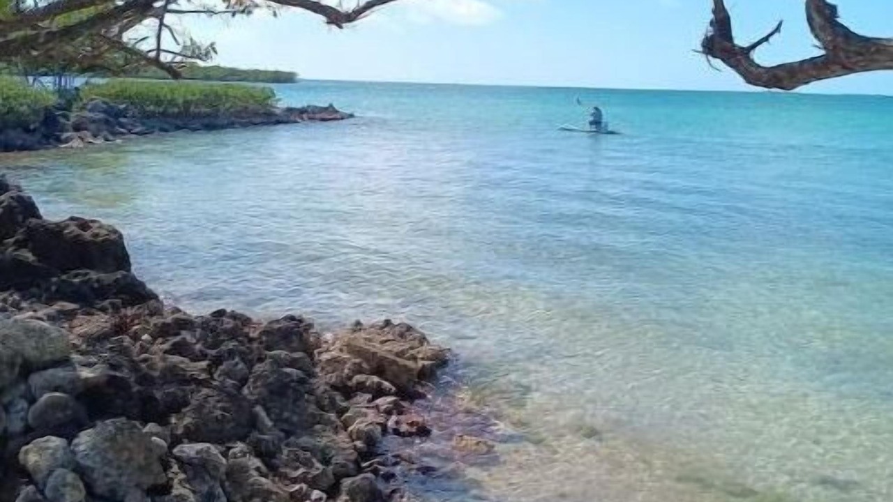 Photo of Others in Key Largo