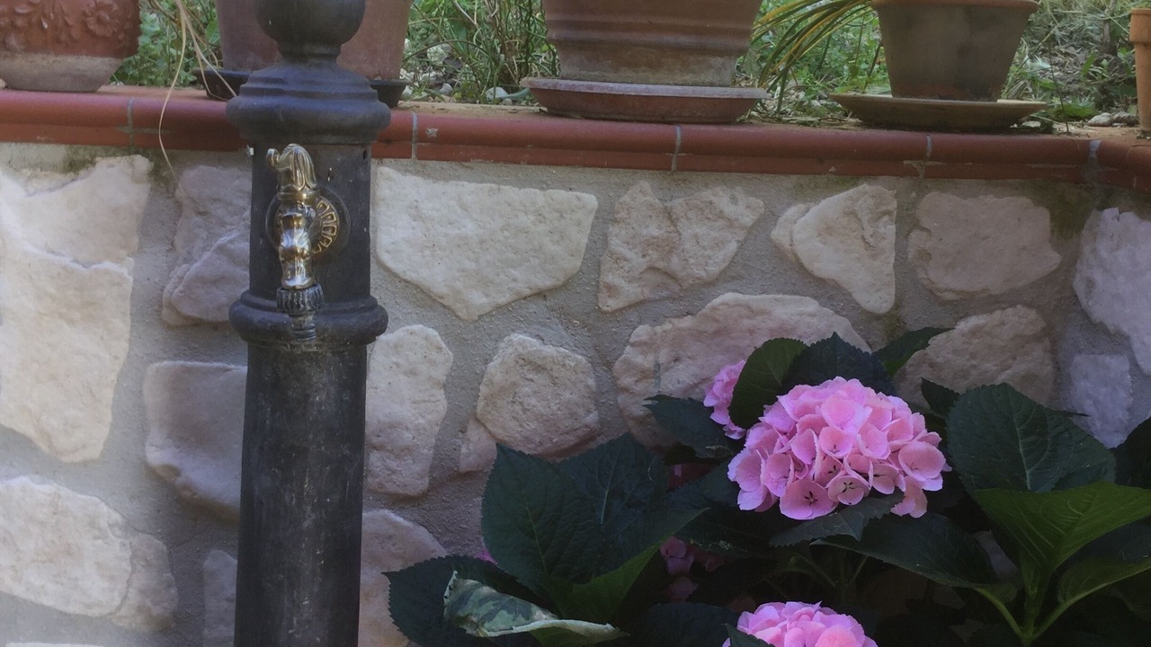 Photo of Outdoor in Torricella in Sabina