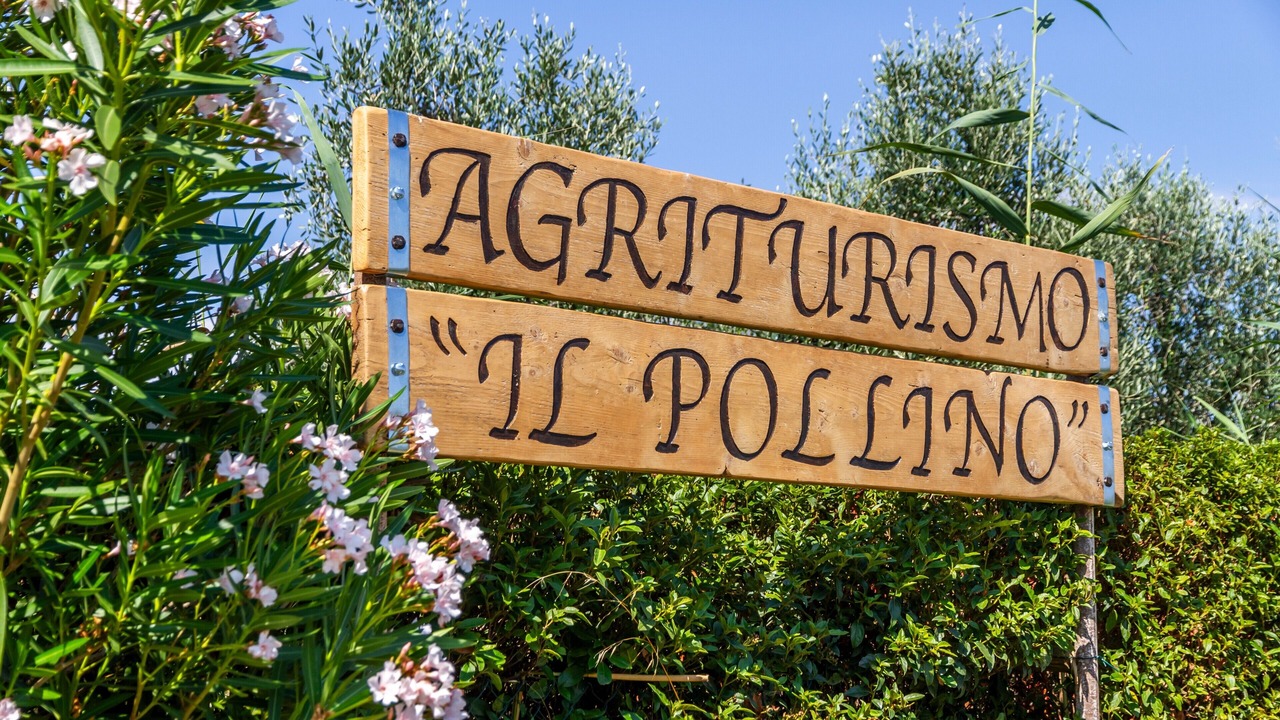 Photo of Outdoor in Grosseto