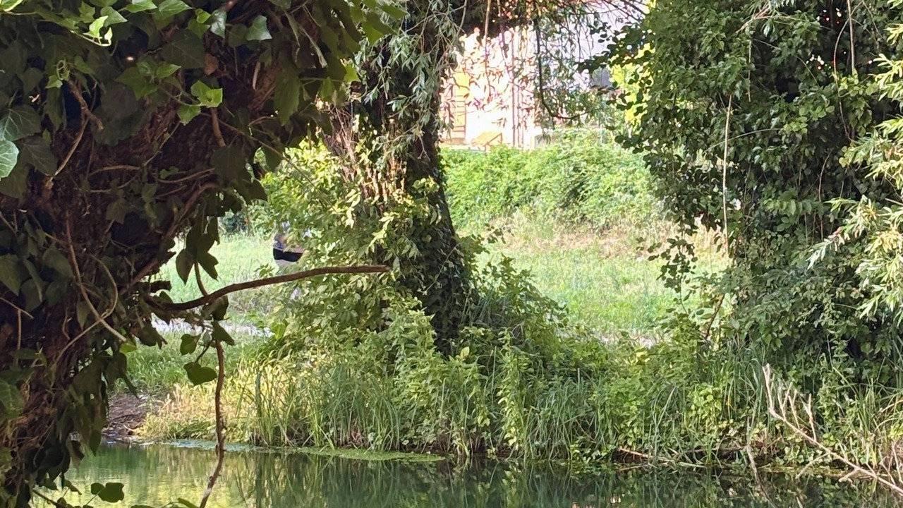 Photo of Outdoor in Bussi sul Tirino