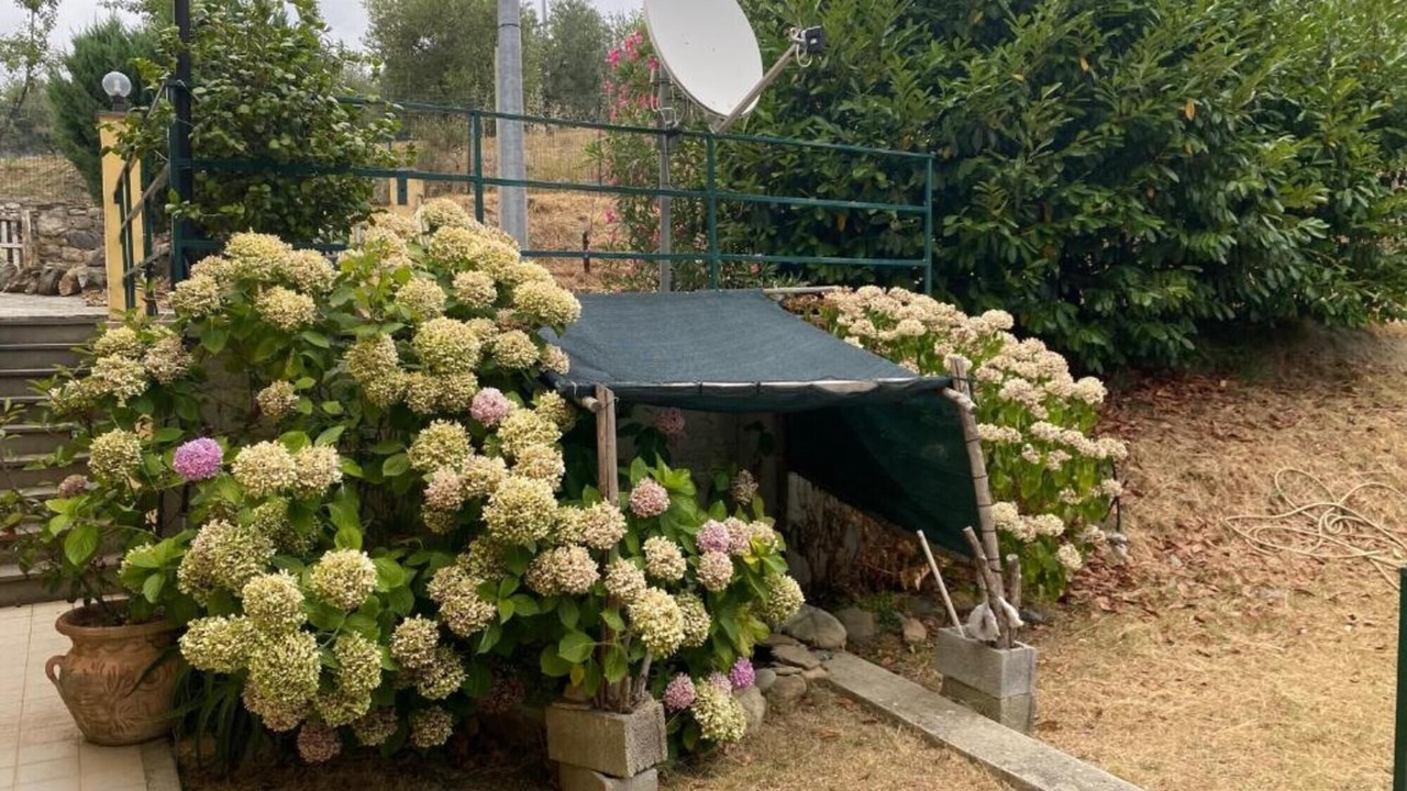Photo of Outdoor in Deiva Marina