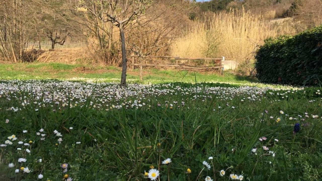Photo of Outdoor in Deiva Marina