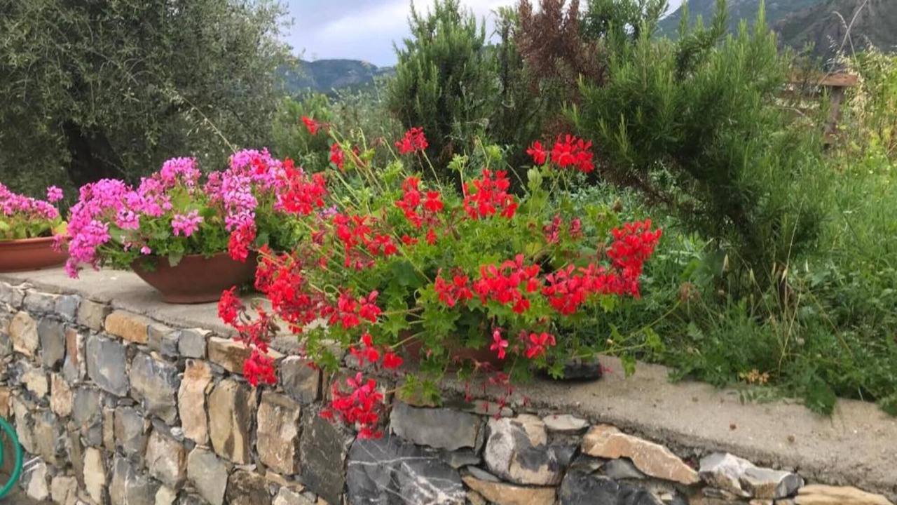 Photo of Outdoor in Deiva Marina