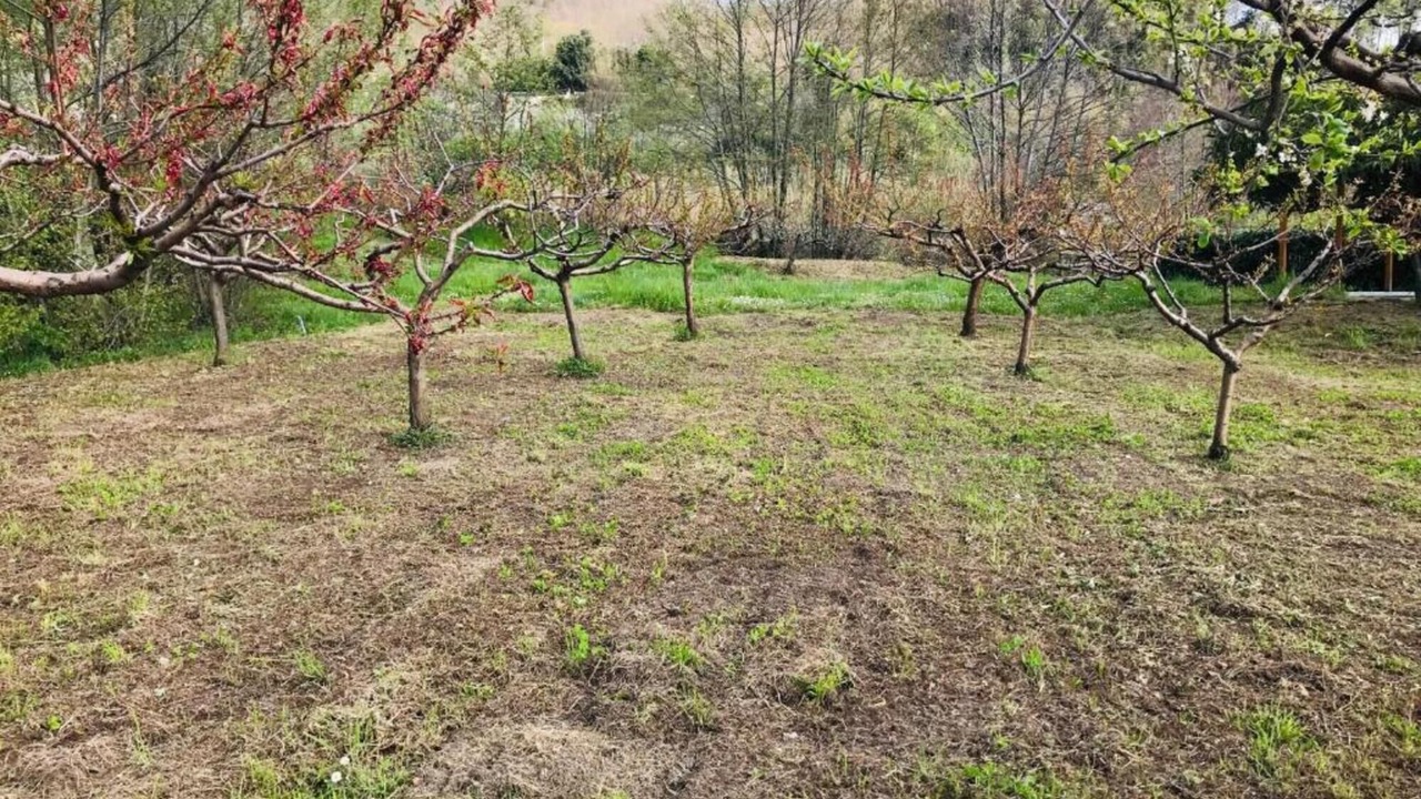 Photo of Outdoor in Deiva Marina
