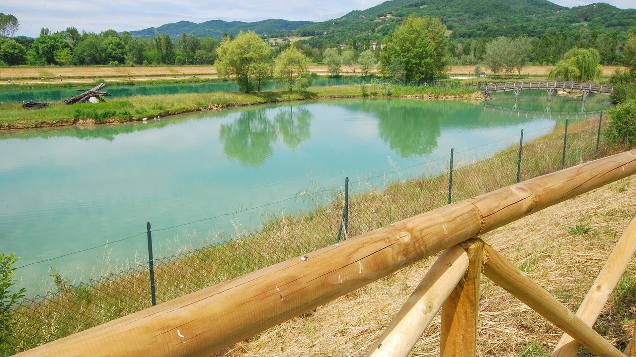 Photo of Others in Montone