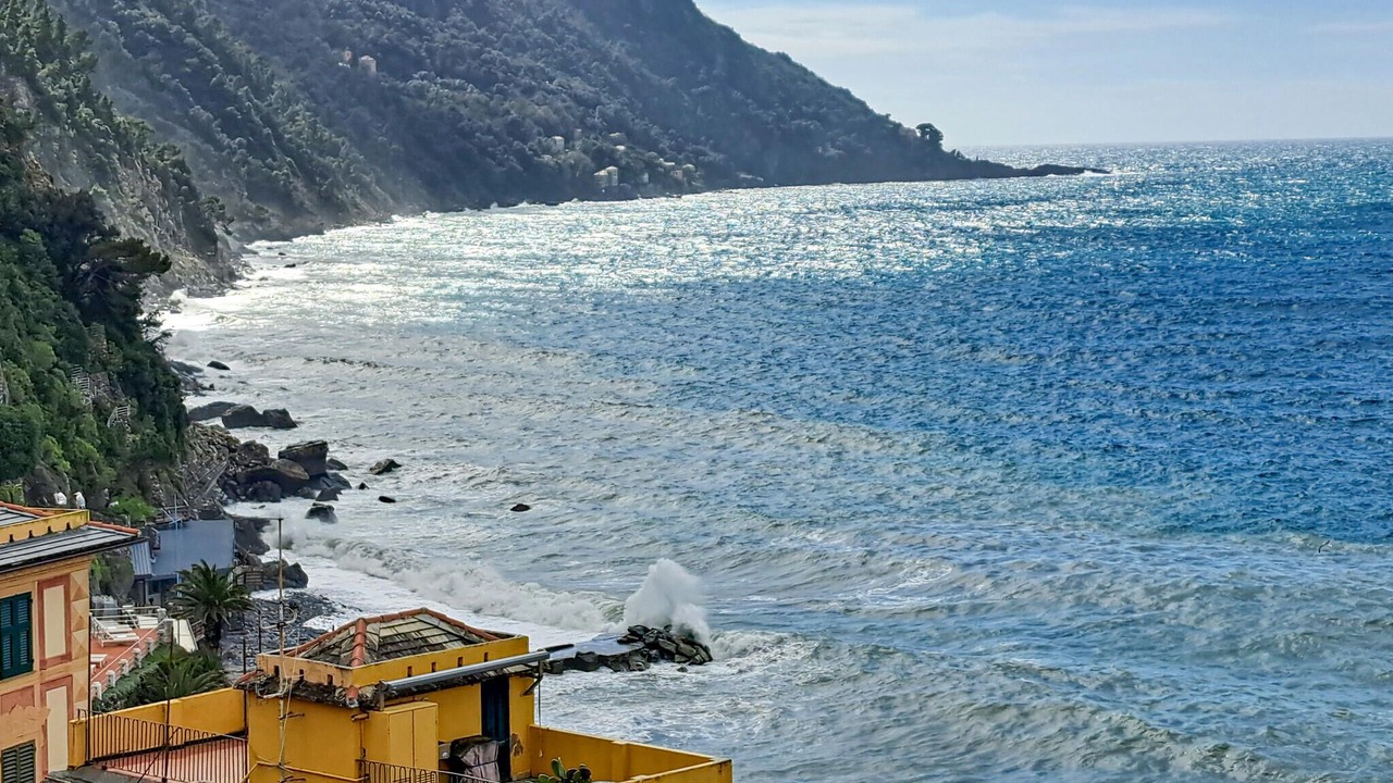 Photo of Bedroom in Camogli