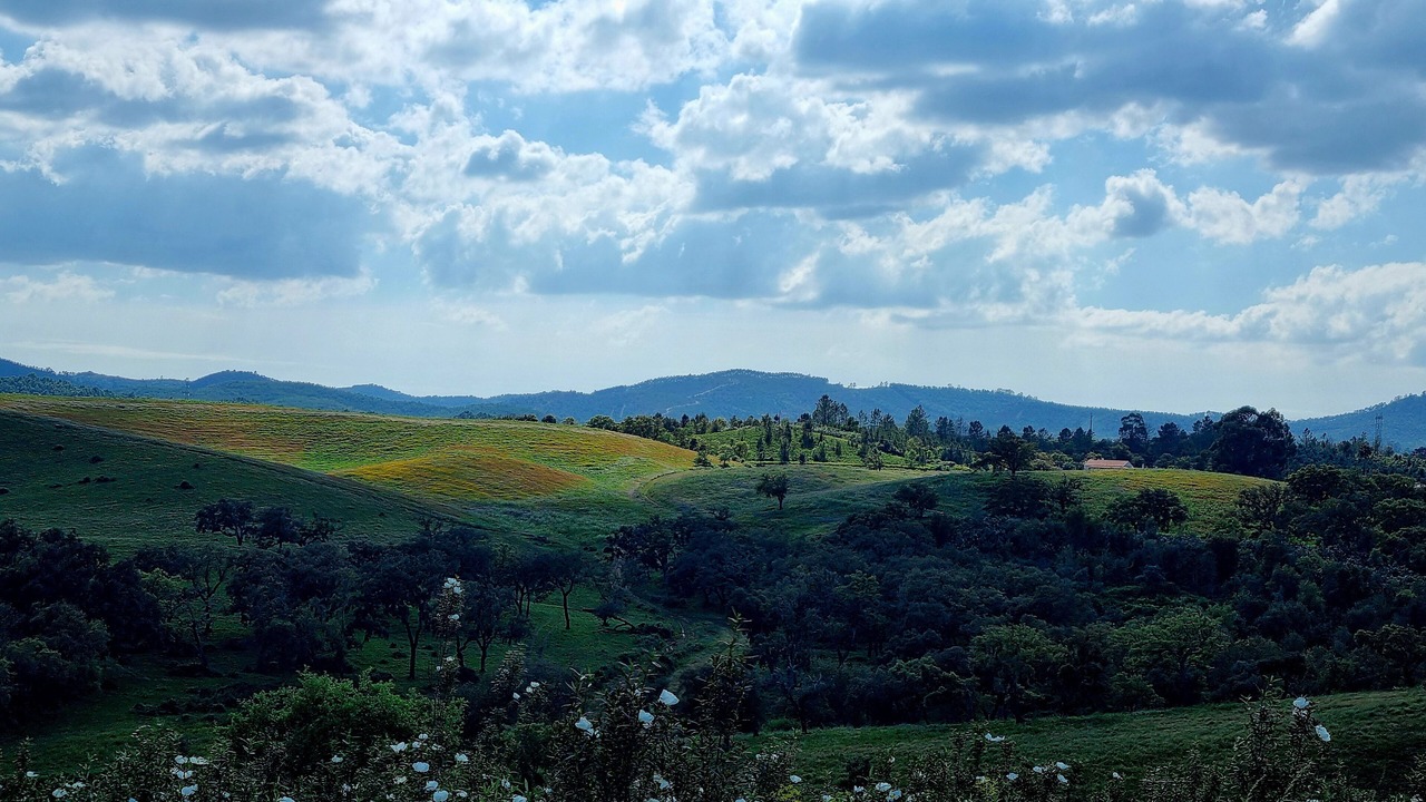 Photo of Others in Sao Luis
