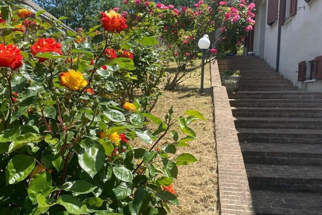 Photo of Outdoor in Montefortino