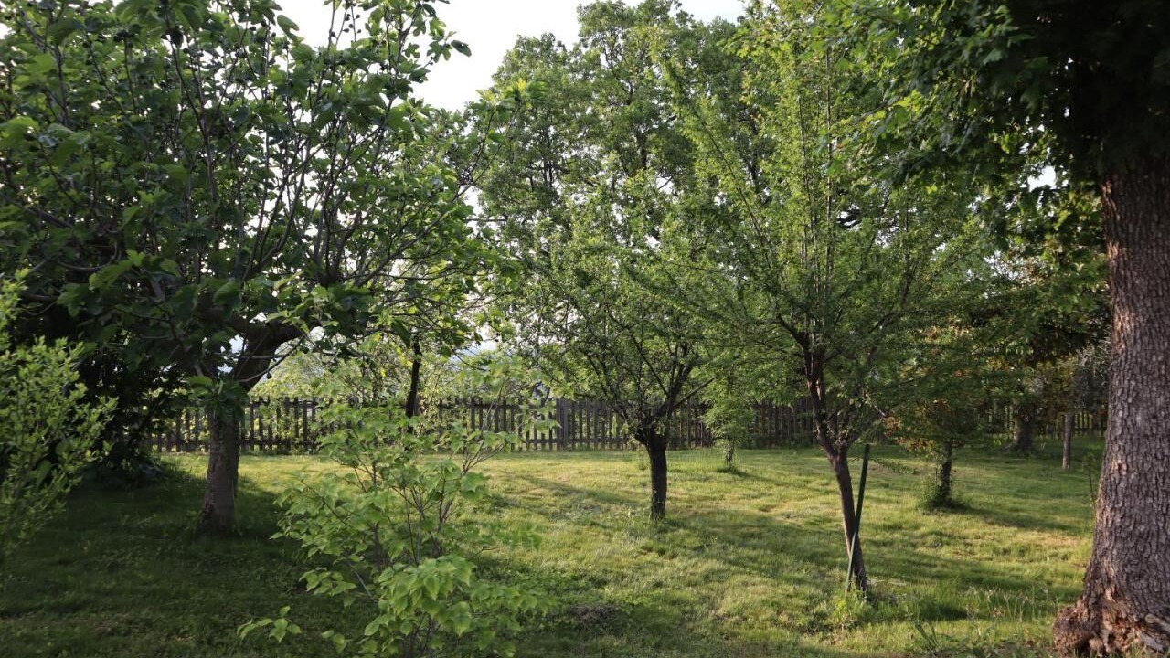 Photo of Outdoor in Montefortino