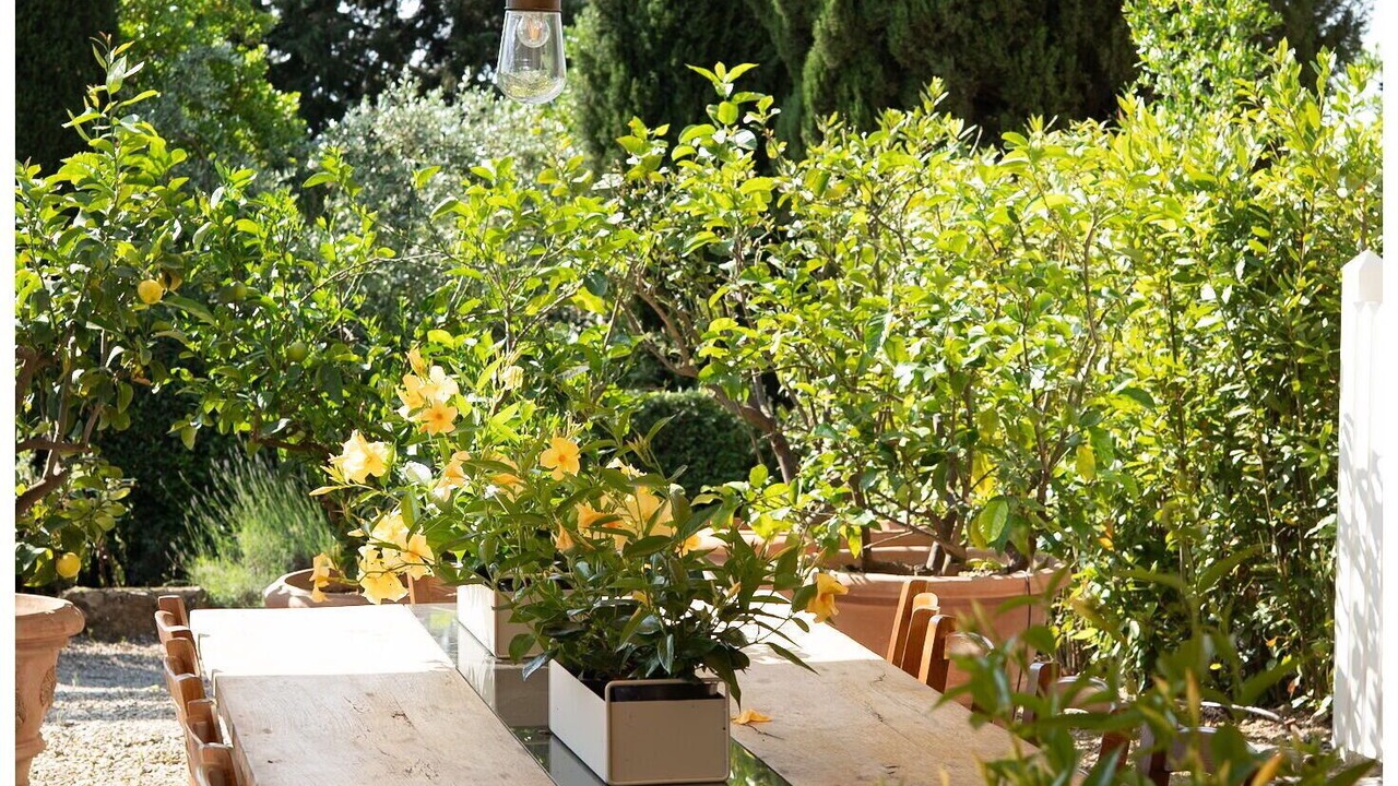 Photo of Patio Balcony in Greve in Chianti