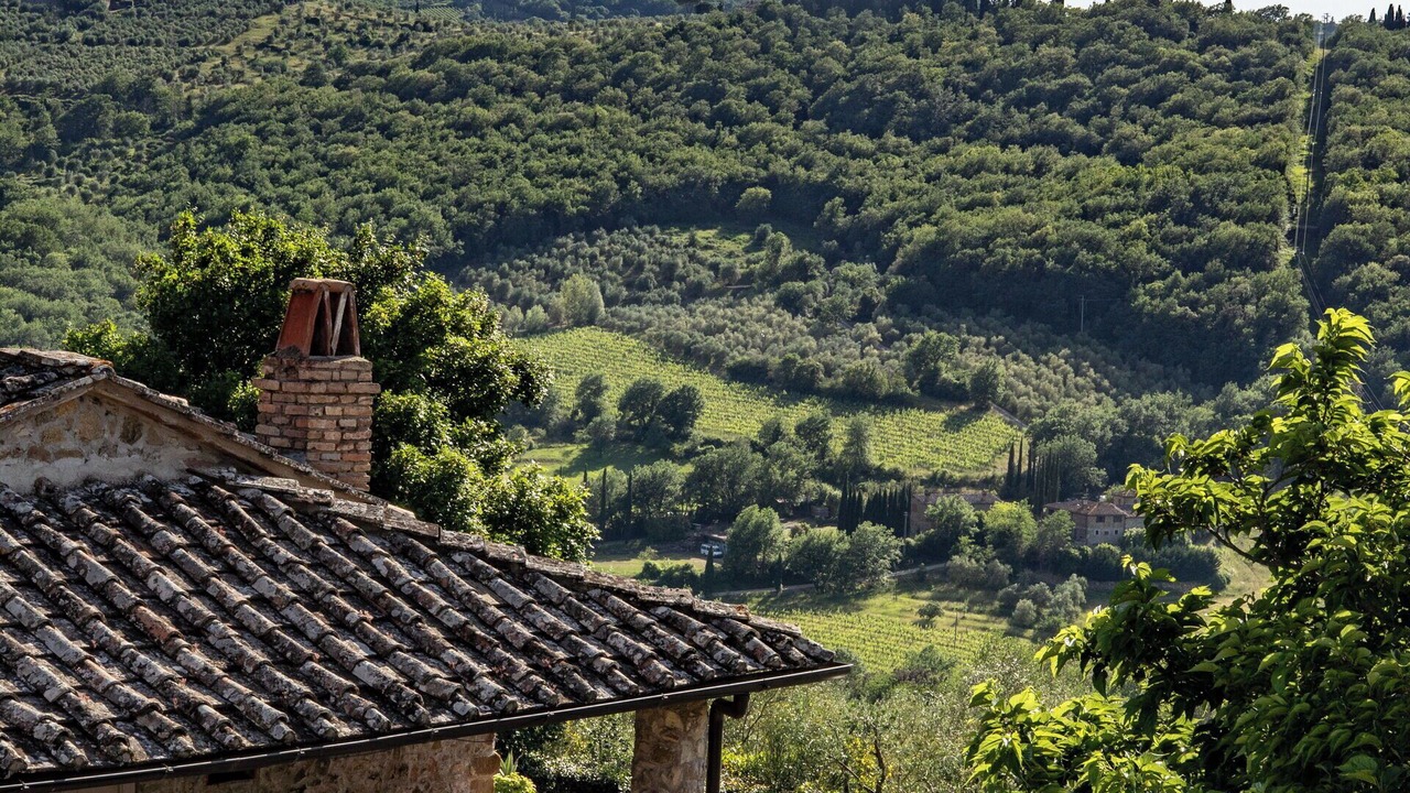 Photo of Others in Greve in Chianti