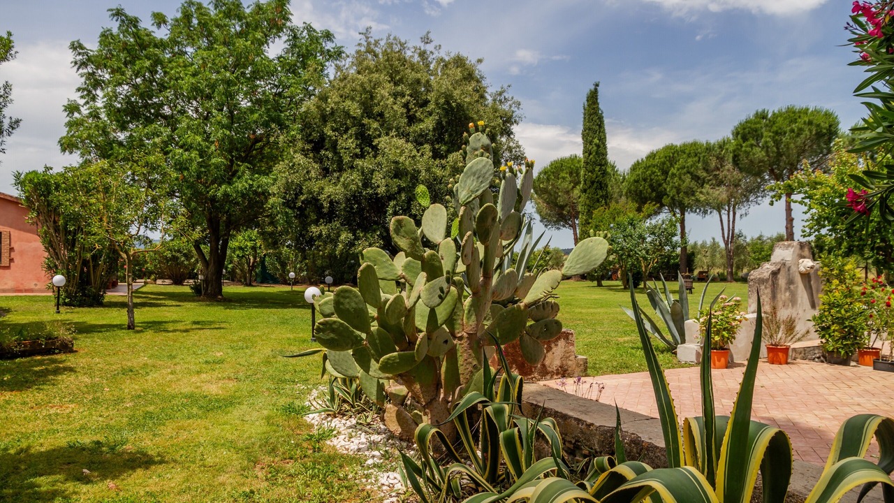 Photo of Outdoor in Grosseto