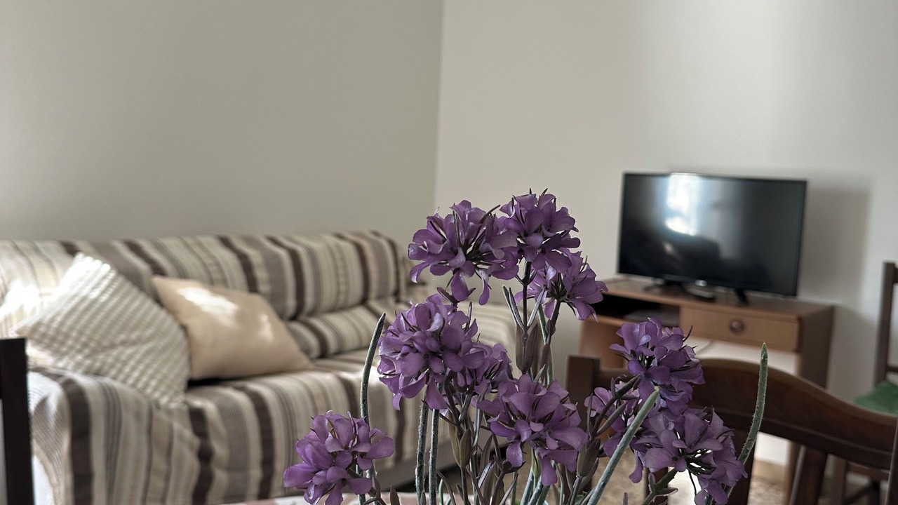 Photo of Livingroom in Pinarella