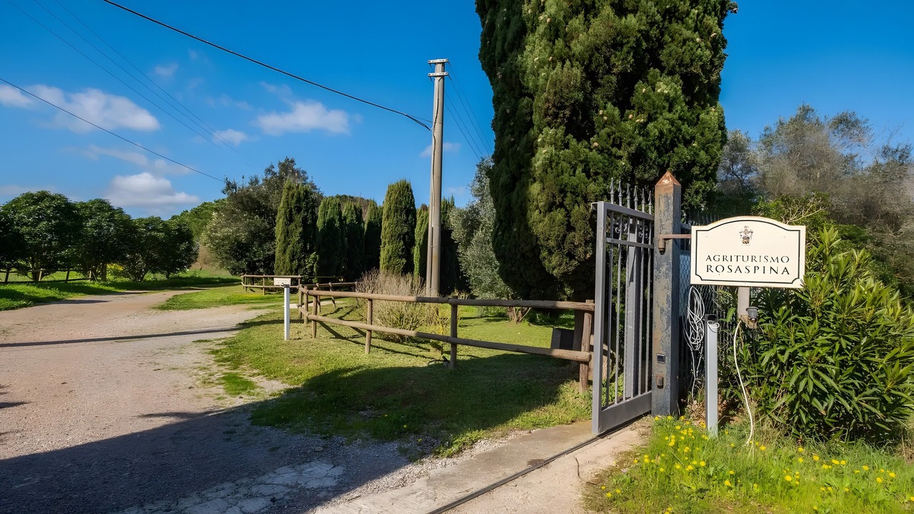 Photo of Outdoor in Capalbio