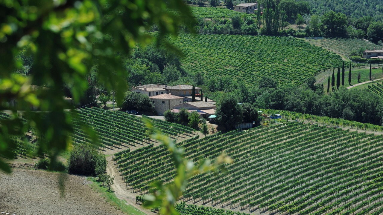 Photo of Others in Montalcino