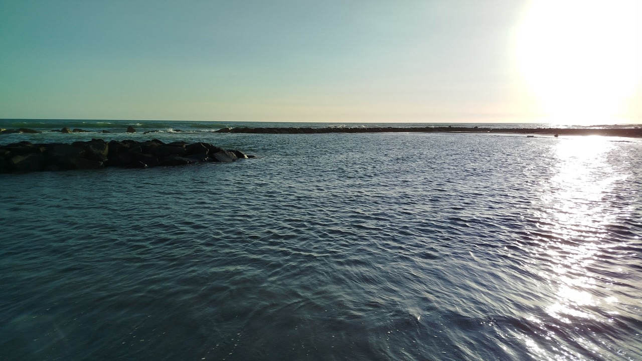 Photo of Others in Ladispoli