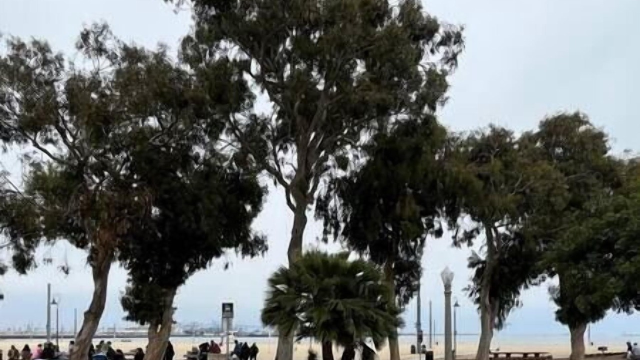 Photo of Others in Northwest San Pedro