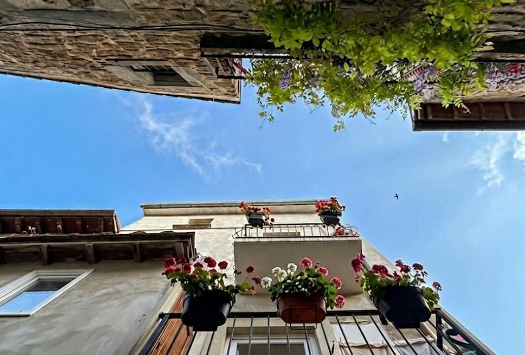 Photo of Outdoor in Vitorchiano