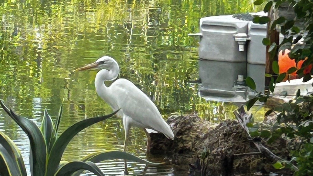 Photo of Others in Sugarloaf Shores
