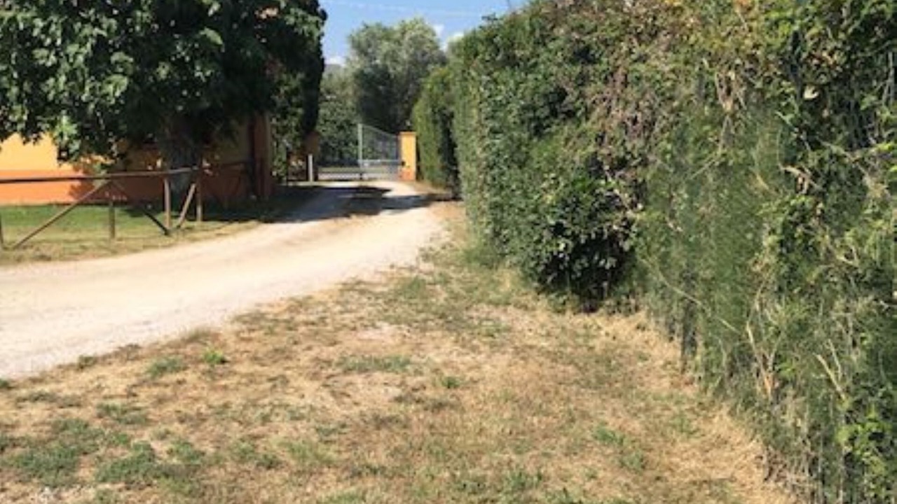 Photo of Outdoor in Campiglia Marittima