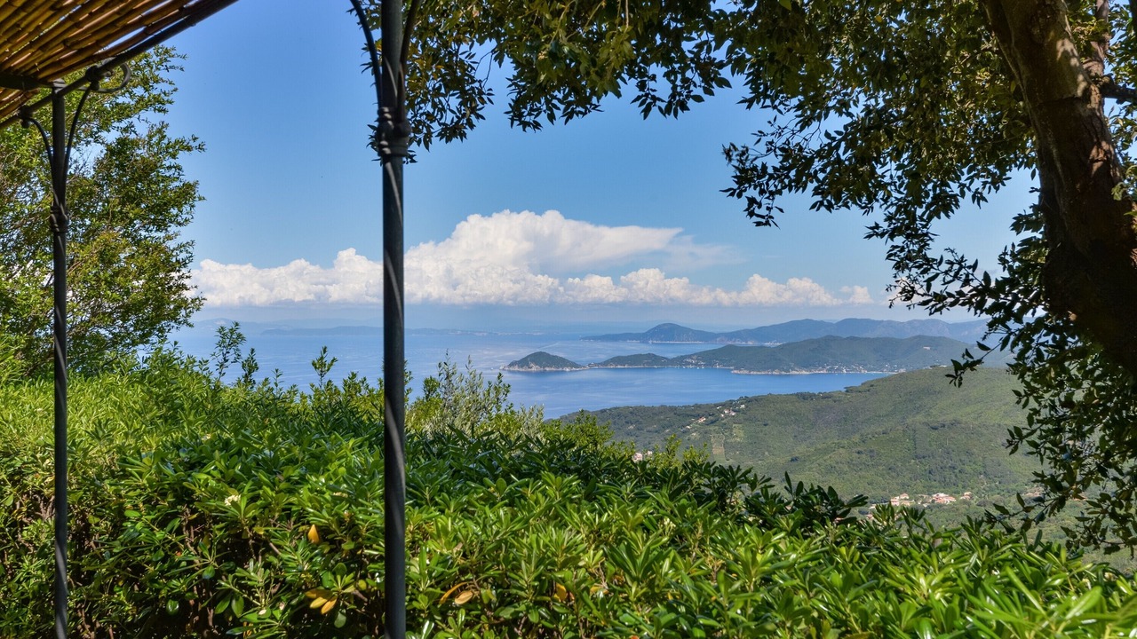 Photo of Outdoor in Marciana